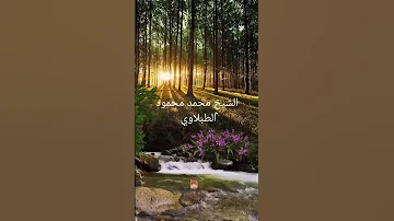 الطبلاوي رحمه الله 