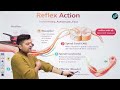 Human Nervous System Class-04 || Harish Sir || Railway Science || Railway Foundation Batch