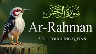 Surah Rahman || سورۃالرحمن || Surah rahman ki tilawat