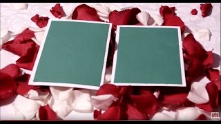 Free HD download Wedding background, Free motion graphics, wedding graphics animation FRAME 030 screenshot 5
