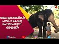 നിരവധി ആനപ്രേമികൾ മനസ്സിൽ സൂക്ഷിക്കുന്ന ആനച്ചന്തം | Mangalamkunnu Ayyappan | E4 Elephant |Kairali TV