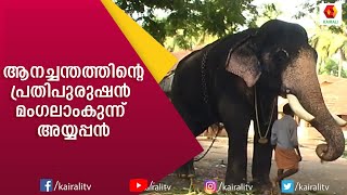 നിരവധി ആനപ്രേമികൾ മനസ്സിൽ സൂക്ഷിക്കുന്ന ആനച്ചന്തം | Mangalamkunnu Ayyappan | E4 Elephant |Kairali TV