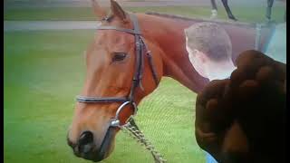 Horacio the handsnake - Hardy Eustace (racehorse)