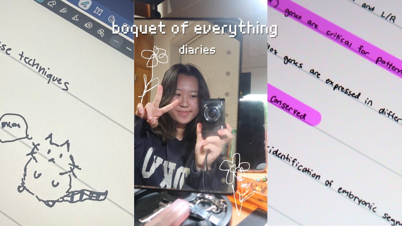 boquet of everything diaries ₊ ⊹𖦹 projects + assignments hustle, fitness talk, simple moments