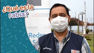 #VanCan2020 ¿Qué es la rabia? ¿Es peligrosa? ¿Dónde puedo vacunar a mi perro? #VanCan2020 ¿Qué es la rabia? ¿Es peligrosa? ¿Dónde puedo vacunar a mi perro?