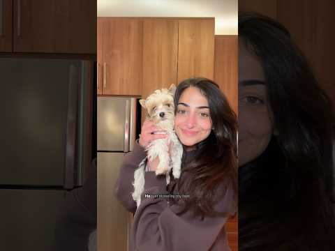 Adeni Chai Yemeni Tea Recipe 