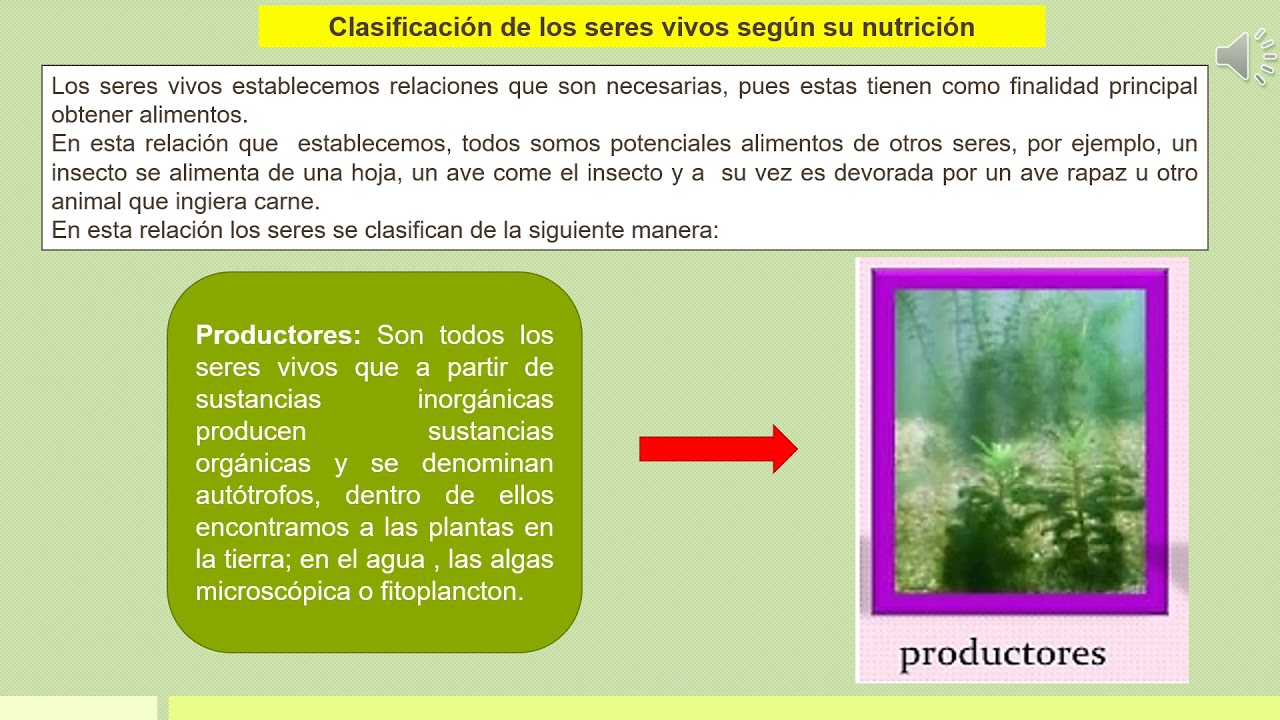 ¿ Cómo se nutren los seres vivos? - YouTube