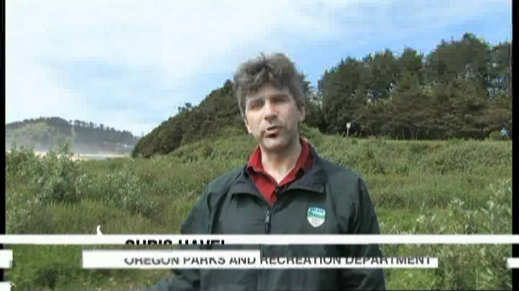 В США док, пострадавший от цунами, выбросило на берег