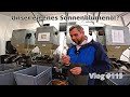 Vlog #119 Wir lassen unser eigenes Öl pressen. Wie wird es schmecken?