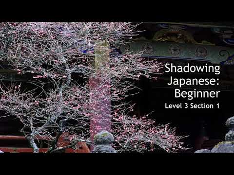 Shadowing Beginner Japanese - Level 3 Section 1