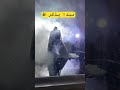 نبدا بذكر الله بلقيس فتحي عبد المجيد عبد الله تنفيذ بالاسماء للطلب 00966553687325 