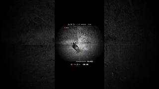 Blitz 6.35 Hog Hunting #hunting #hunter #pcphunters #greece #yunanistandomuzavi