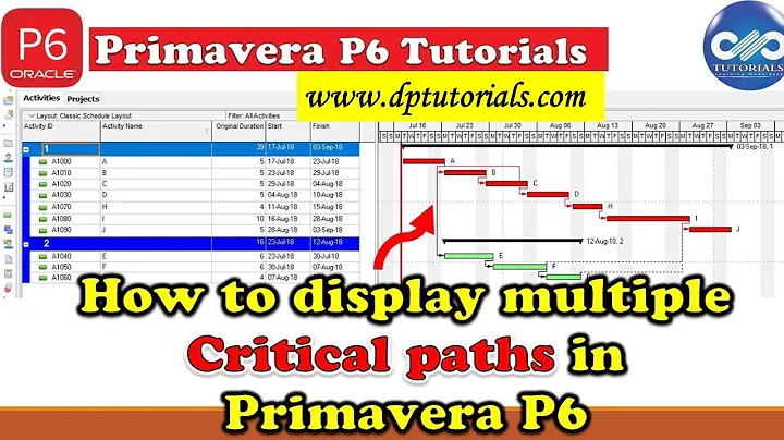 How To Display Multiple Critical Paths In Primavera P6 || Primavera Tips || dptutorials
