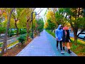 Tehran City 4K, Iran, Cloudy Day Walking in Keshavarz Boulevard (Elizabeth Blvd) (4K Ultra HD 60fps)