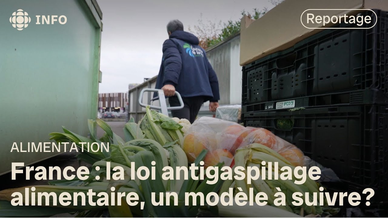 France : une loi antigaspillage alimentaire qui porte fruit | L'épicerie
