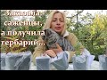 Шо вы грите? Сажайте - вырастут, гарантируем! Как онлайн купить многолетники на компост