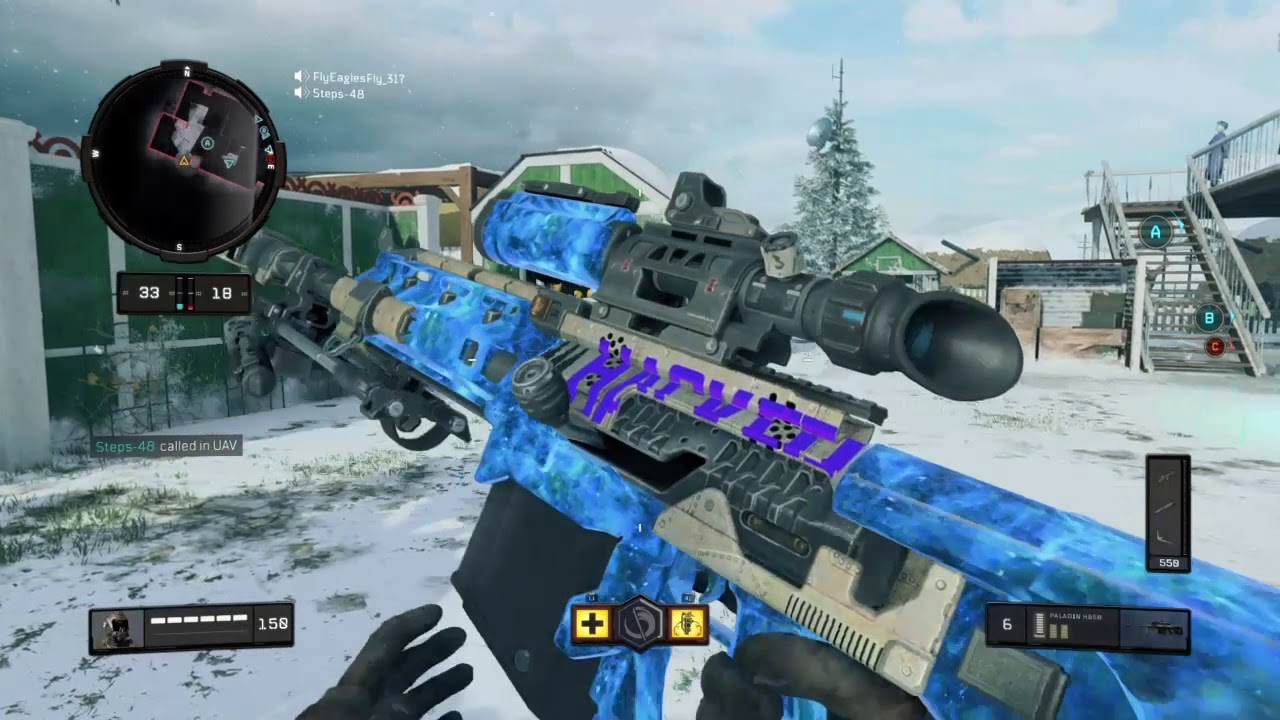 WEAPONIZED 115 CAMO in BO4
