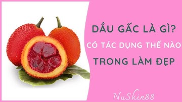 DẦU GẤC VÀ NHỮNG TÁC DỤNG TRONG LÀM ĐẸP | 083.551.9999