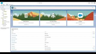 Salesforce Process Builder: Update Customer Type