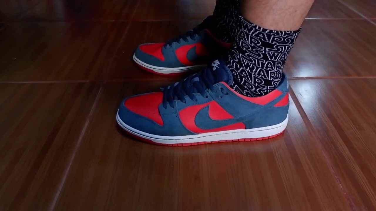 On Feet - Nike SB Dunk Low Reverse 