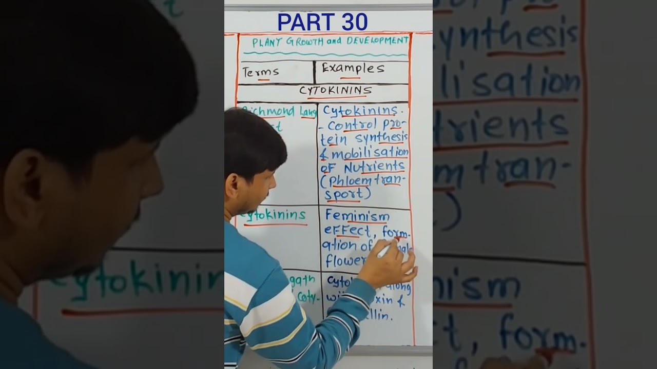 Terms and Examples - 