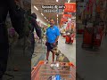 Inscríbelo en nuestro próximo Campamento de Obediencia Sin Correa en Casper’s Camp Hope Dog Training