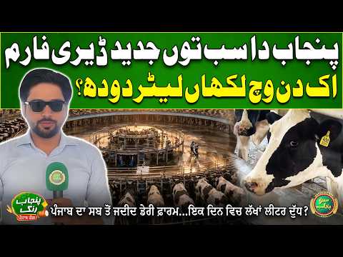 Latest Dairy Farm In Punjab | Million Liters Milk in a Day? | Shahood Ul Hassan | Suno Punjab Vlog