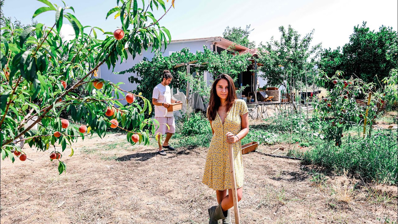 жизнь в салоне с 5 утра