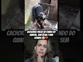 Maus tratos é crime #motivação #denuncia #maustratosécrime #policiais #deus #dueto #shorts