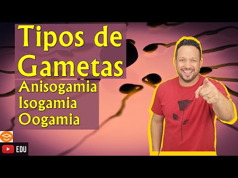 Tipos de Gametas - Anisogamia, Isogamia e Oogamia - Reprodução