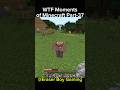 Minecraft WTF Moments Part-37 #indiangamer #hindigameplay #minecraftfunny #funny