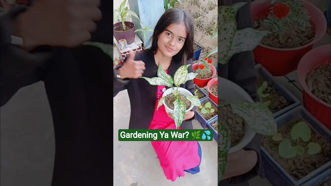 Gardening Ya Dangal? 👊 Star Plant Ne Rula Diya! 