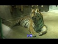 夜のいしかわ動物園　ナイトズーに行ってみました の動画、YouTube動画。