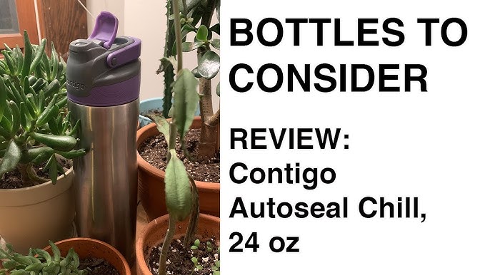 Contigo 24 oz. Cortland Chill 2.0 Water Bottle - Stainless Steel/Licorice