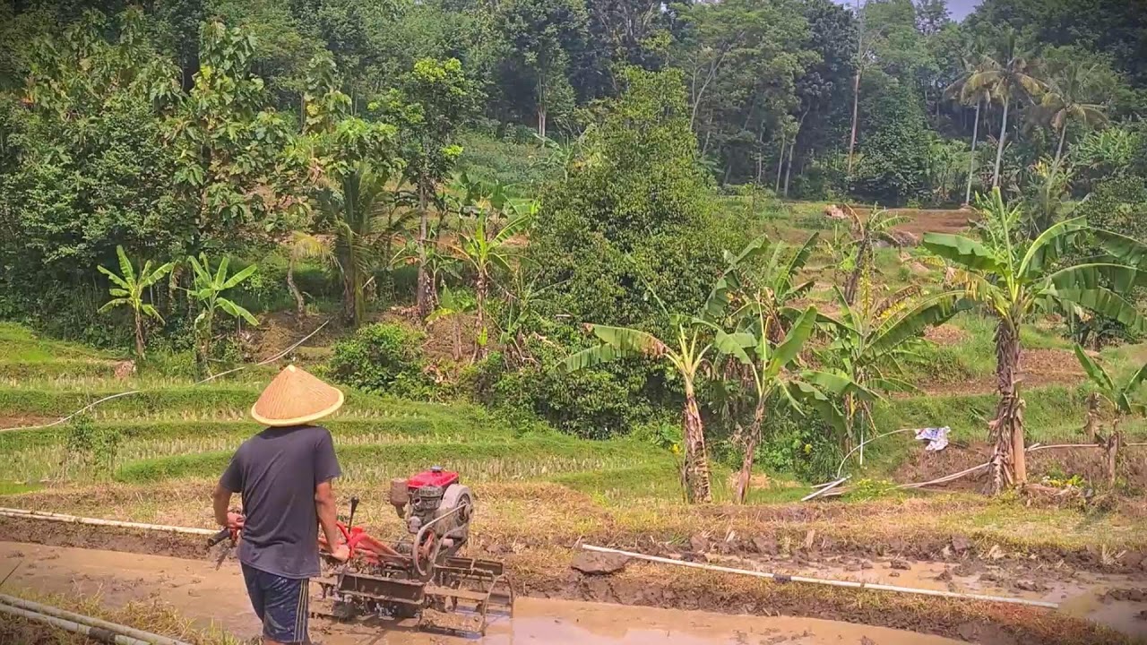 Land Prep: Using a Walk-Behind Tractor for New Crops _FarmersLife _Shorts