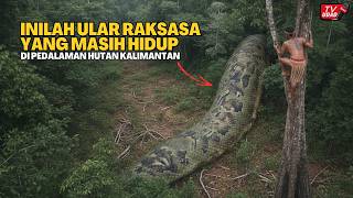 SEDANG VIRAL‼️ Seorang Pria Tak Sengaja Merekam Sosok Ular Raksasa di Pedalaman Hutan Kalimantan...