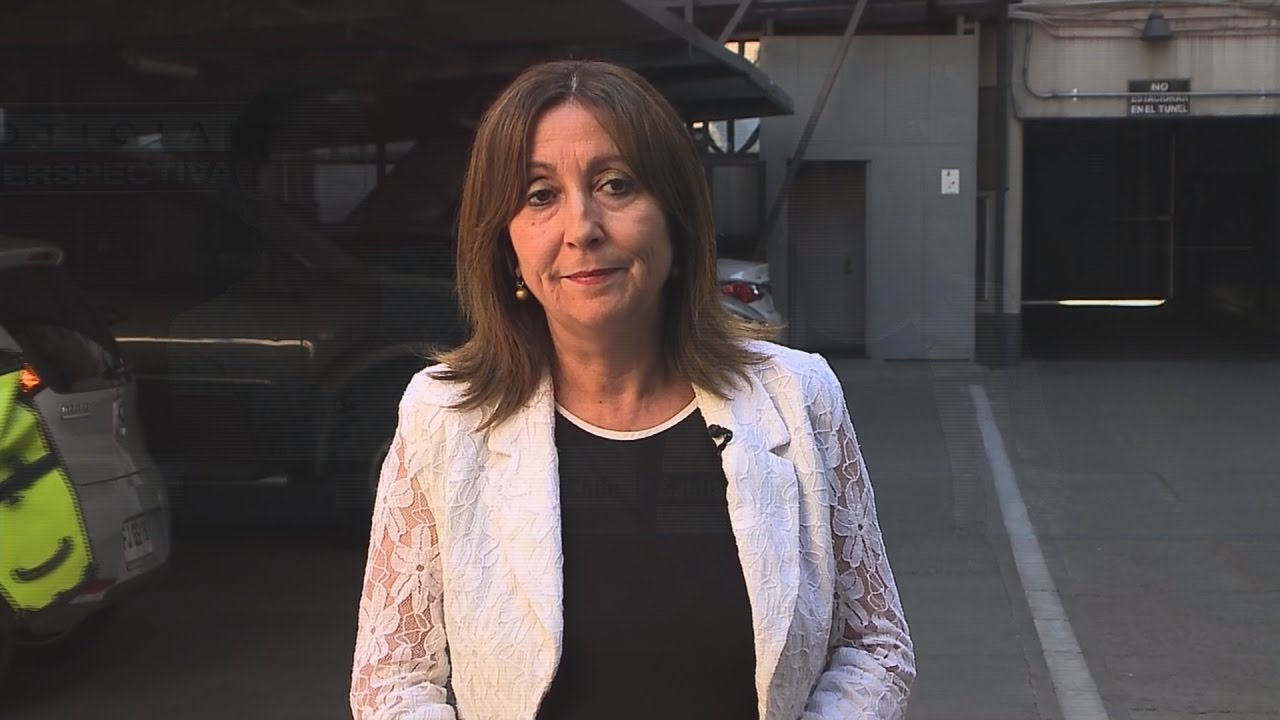 Ministra (s) de Salud sobre gripe aviar: "No hay un riesgo para la ciudadanía"