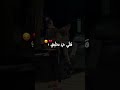 Sayi Jat Fiya Cheikh Mamidou