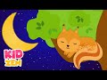 3 Hours of Relaxing Baby Sleep Music: Squirrel Habits | Piano Music for Kids