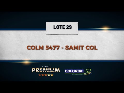 LOTE 29 COLM 5477