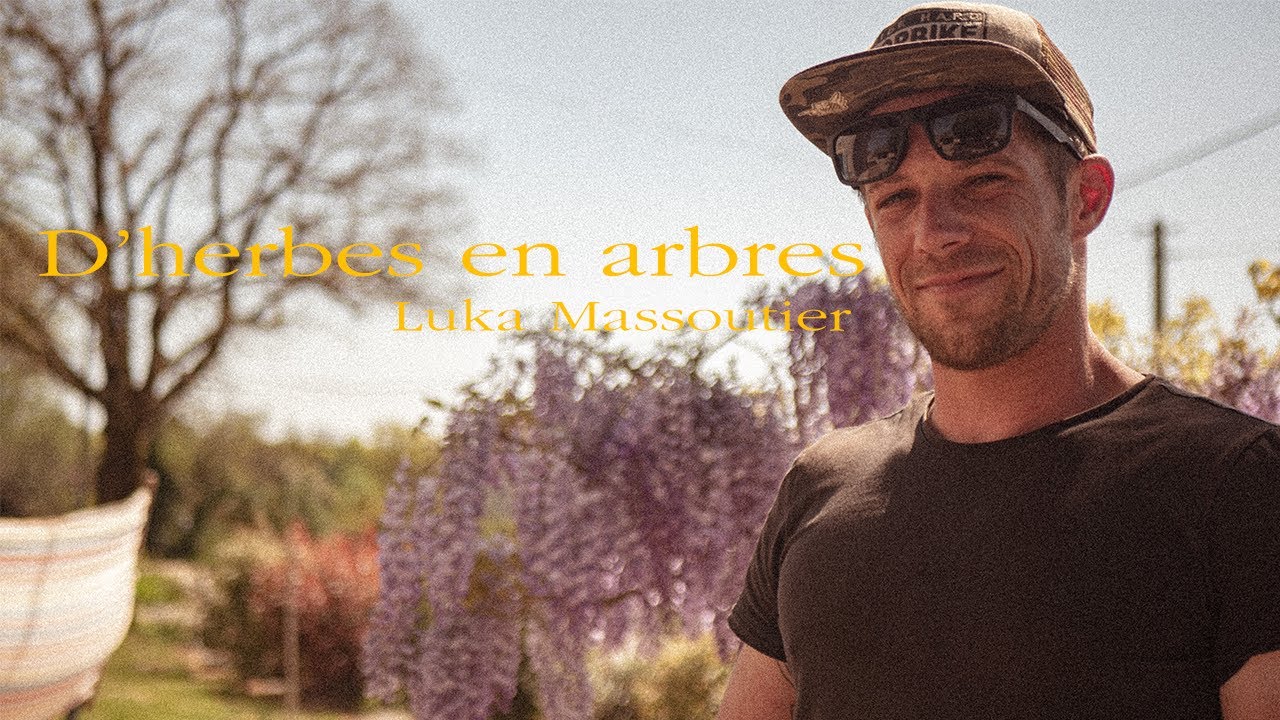 Reportage Elagueur - Grimpeur - D'herbes en Arbres