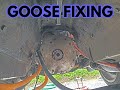 E46 Touring EV Gearbox Swap Part 1