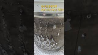 대구 읍내동 세탁기청소 전.후사진입니다 문의 010 3012 7034