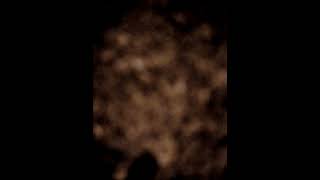 .srf1503gmt30072026 #9299913*juror345693,level34:flashing(4'9'17'34'endOfFile50seconds);