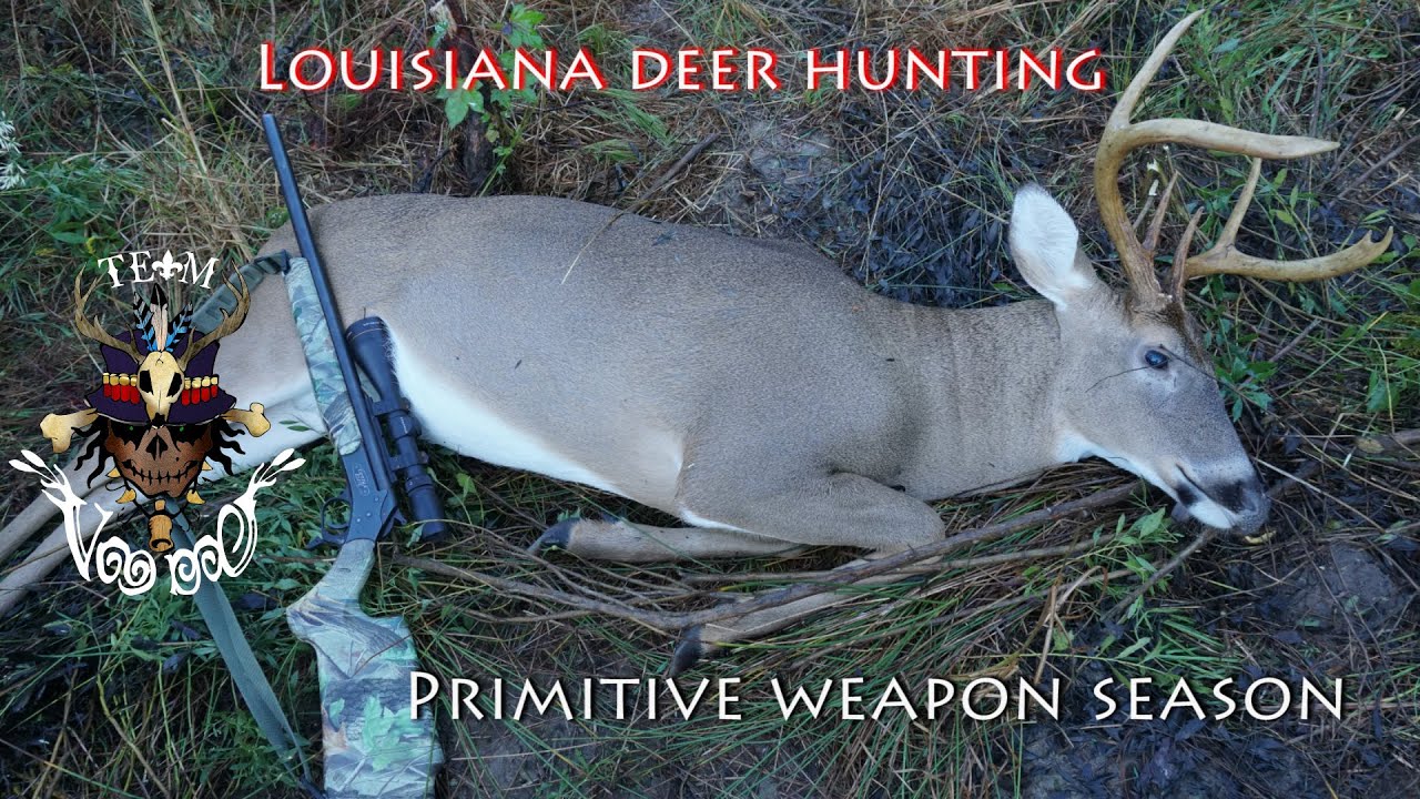 Primitive weapon Deer hunt (Bullet flight caught on camera) YouTube