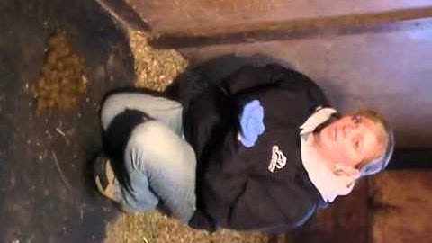 How To Collect a Fecal Sample