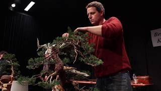 Juniper bonsai demo by Ryan Neil