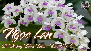Karaoke Ngọc Lan Tone Nữ | TAS BEAT