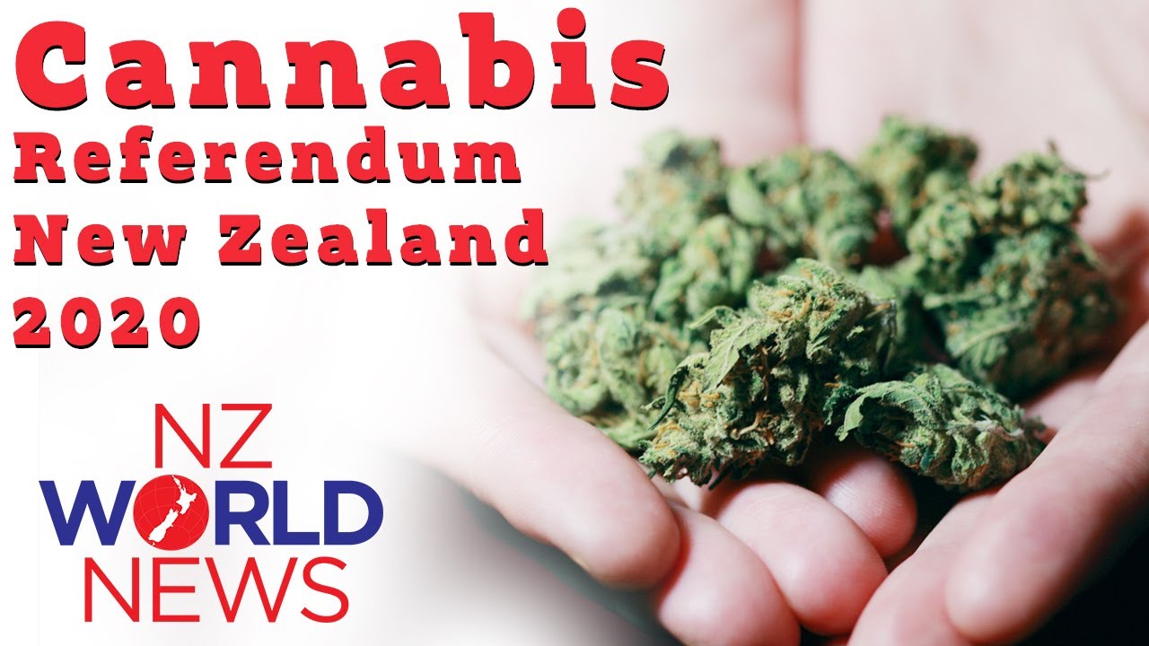 Cannabis Referendum | New Zealand 2020 | Puketepapa Youth Board | NZ WORLD NEWS