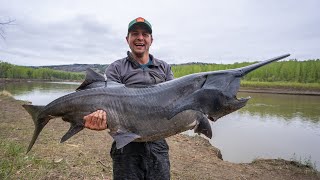 ANYFIN GOES! Montana Paddlefish (EP. 3)